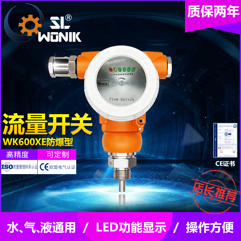 WK-600XE 防爆型数显式智能流量控制器